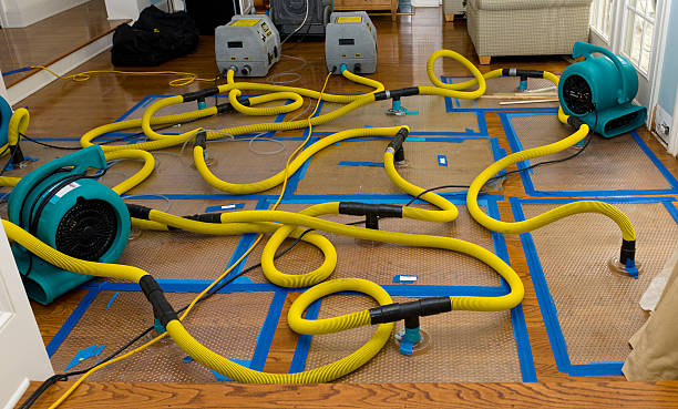 Professional Basement Flood Cleanup technician working in Bowdoin, ME